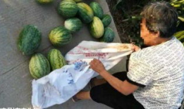 睢宁吃瓜最新事件爆料,最新爆料揭秘幕后真相